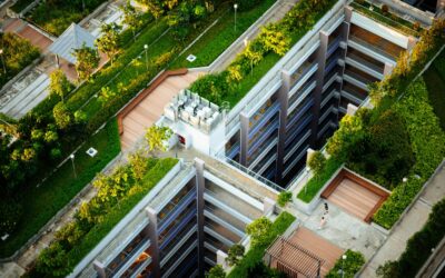 In Conversation with Daniel Shindleman on How Sustainability Became a Smart Investment